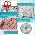 Collapsible Fishing Trap Net 4 Pack - Crab Crawfish Minnow Lobster Shrimp Bait Cage with 49ft Rope, 12x24 Inch Foldable Fish Trap, Durable PA Nylon, Portable Freshwater Saltwater Fishing Gear