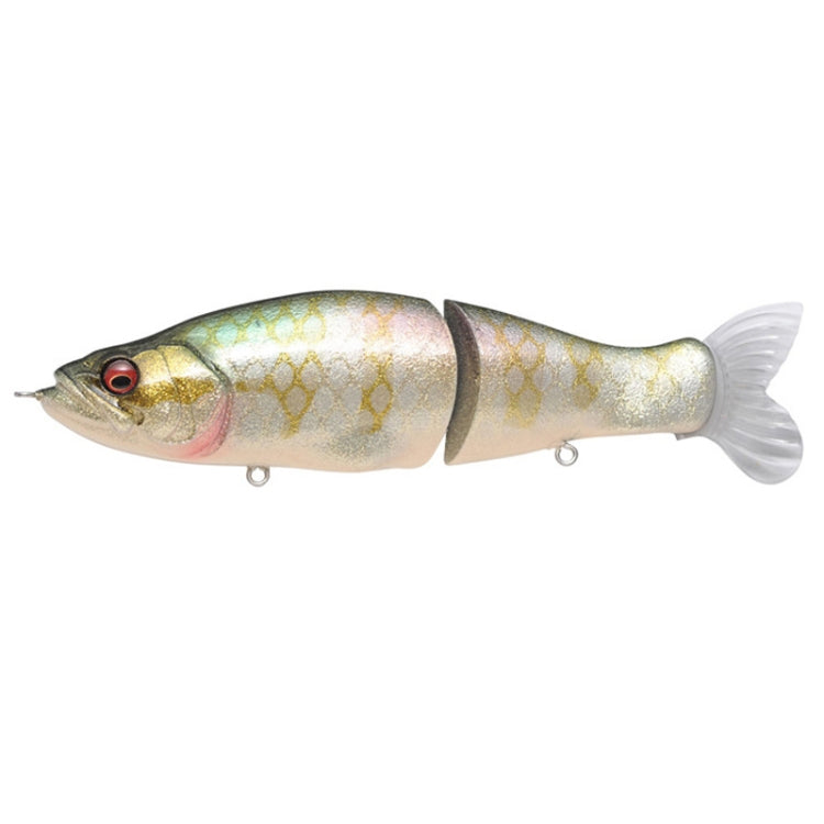 135mm Lure Bait Bionic Fishing Lures Slowly Sinking Pencil Knobby Fish Hard Bait Fishing Gear, 135mm E, 135mm P, 135mm F, 135mm Q, 135mm G, 135mm R, 135mm H, 135mm I, 135mm J, 135mm K, 135mm A, 135mm L, 135mm B, 135mm M, 135mm C, 135mm N, 135mm D, 135mm O